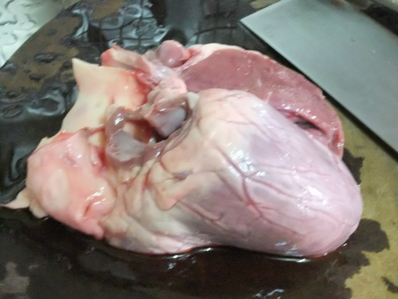 ��������ζ�����ġ�������