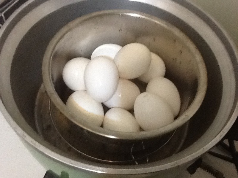 ��Sammy����������±ζ������