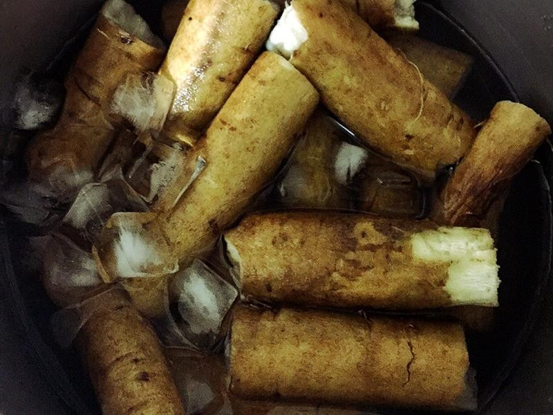 ����ţ��֭������