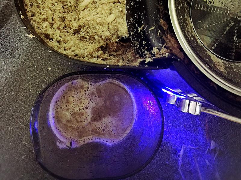 ����ţ��֭������