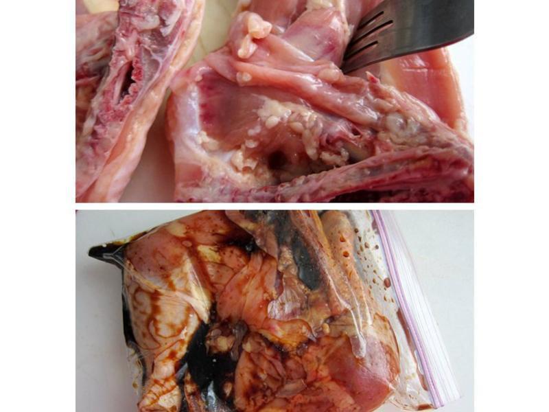 ���Ϳ����ȵ�����