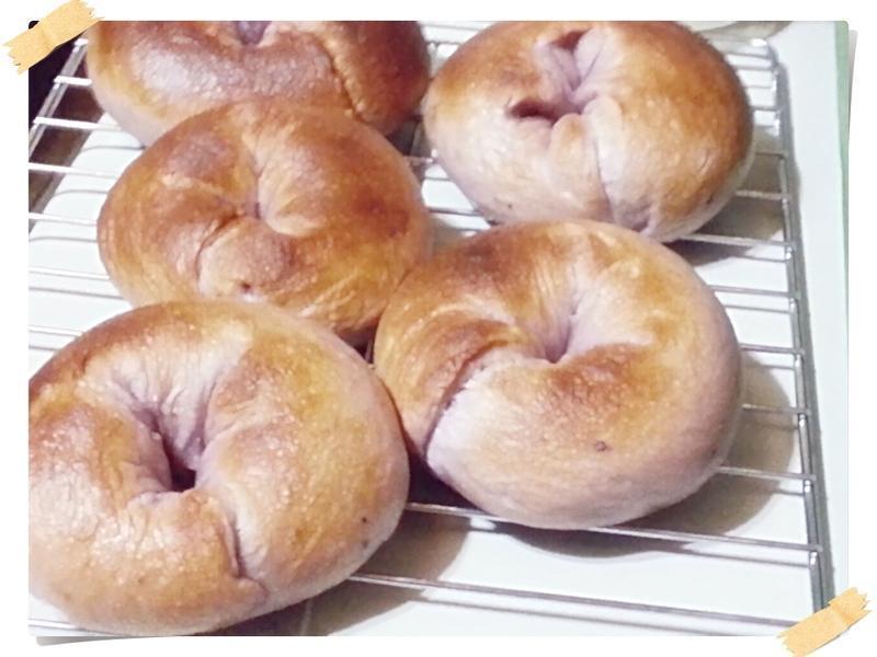 ���ó�QQ��ݮ����Begal������