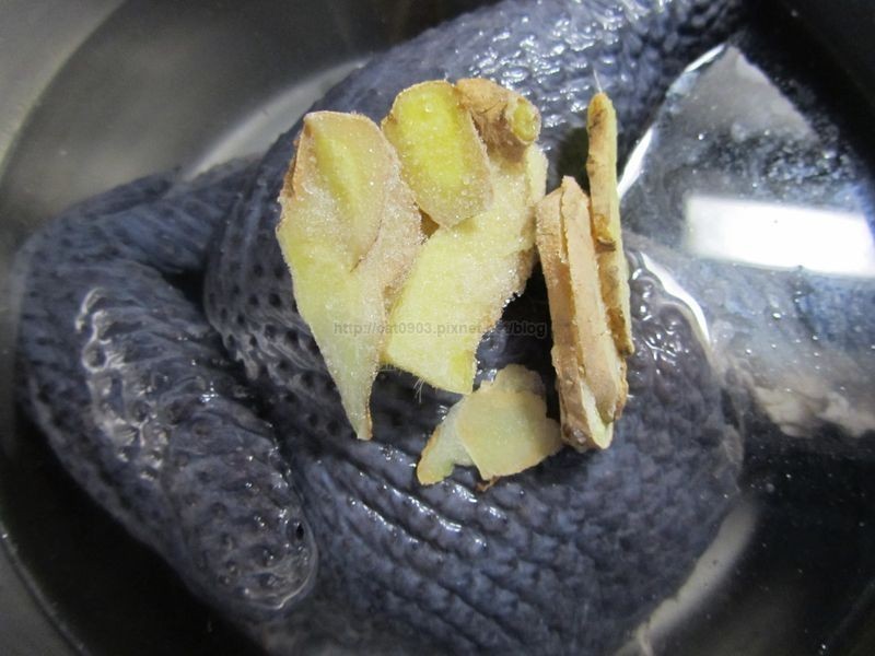 �˲��ڹǼ���������