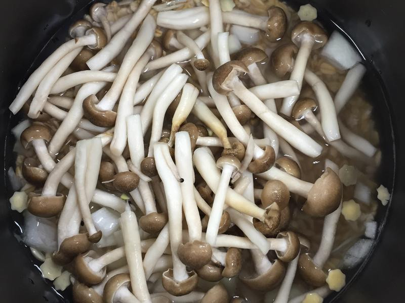 �����������ʽ����������