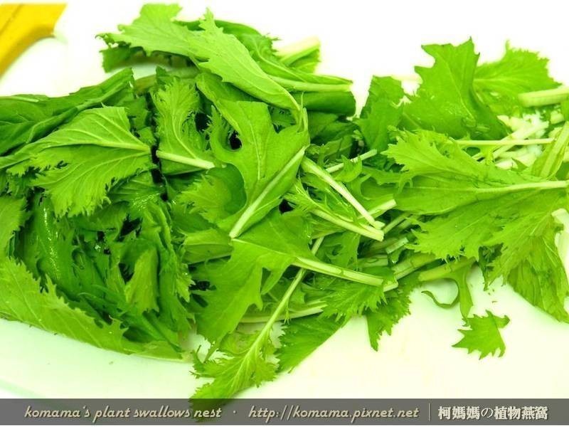 ��ľ����������