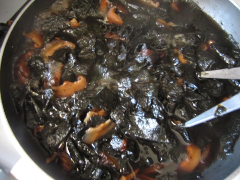 �㹽��̦��������