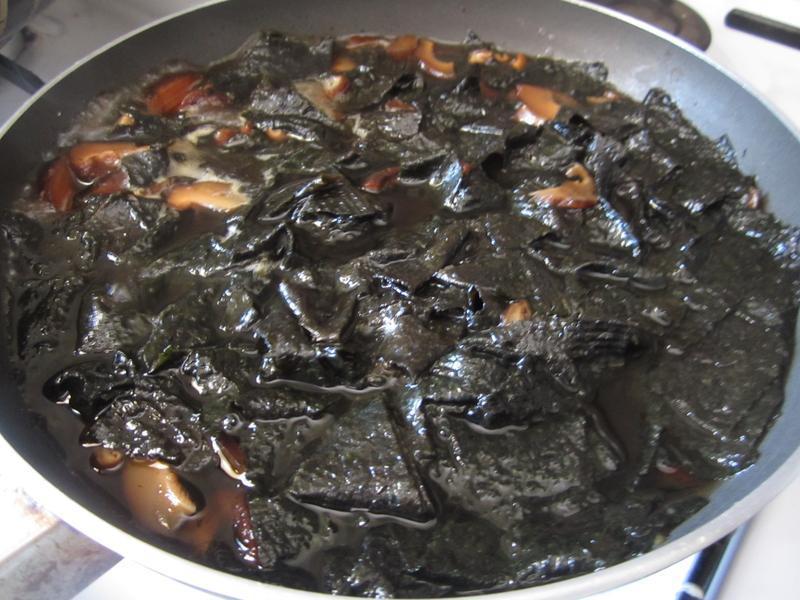 �㹽��̦��������