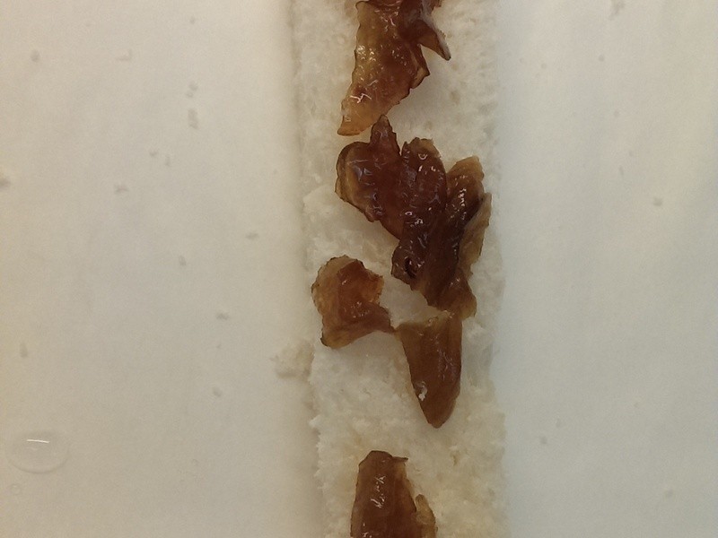 ���Q÷��˾��������