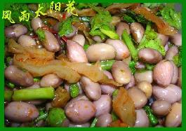 �����ƶ����̲˵�����