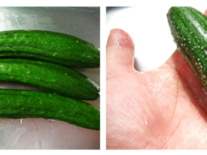 �������������衷�ͷ�С�ƹ����������