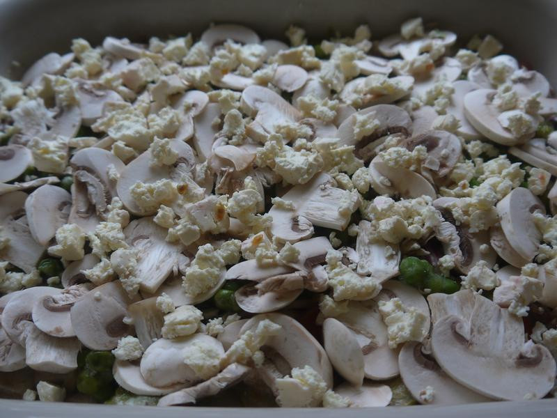 ��������������˾������