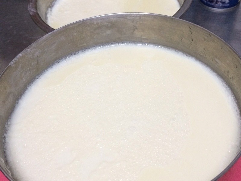 ���׶�������������