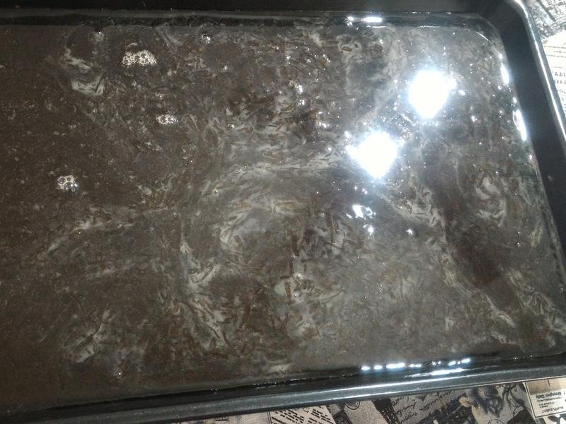 ���걦ʯ�ǵ�����