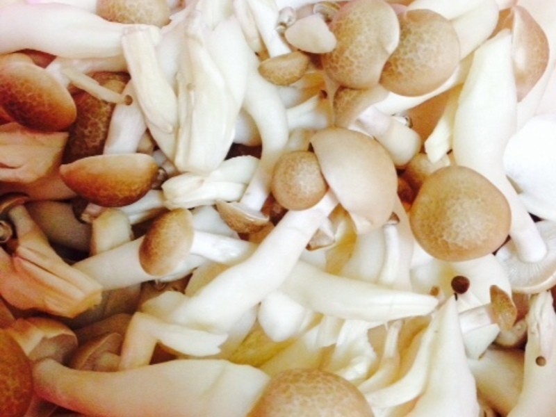 ��TK�������������(�׾ư�)������