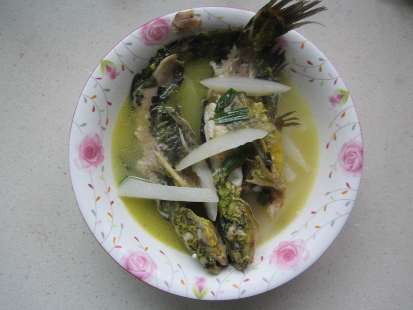 �������ܲ�˿��������