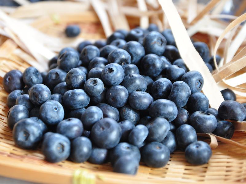 ��ݮƻ����������