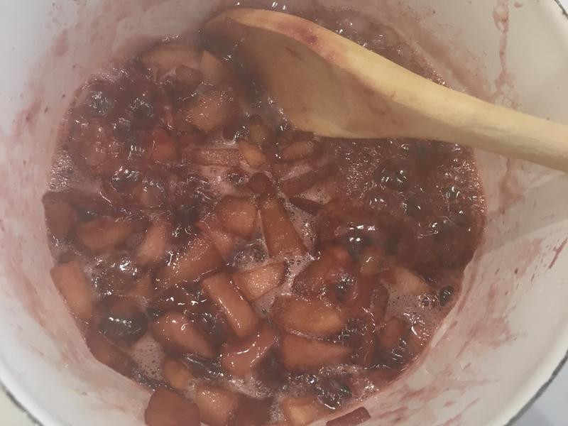 ���ƺ�ӣ��ƻ�������ɵ�����