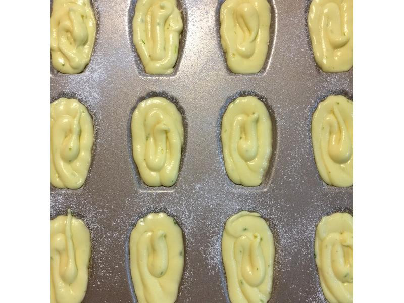 ����������������������