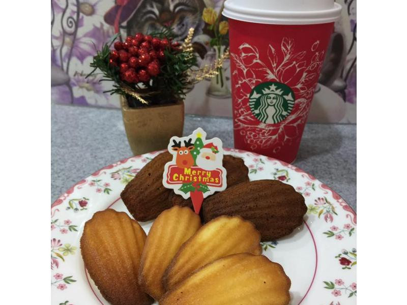 ����������������������