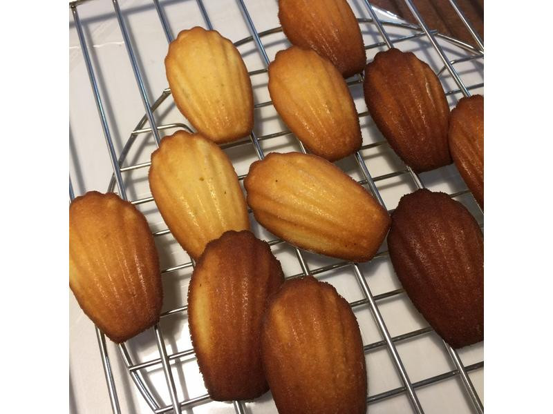 ����������������������