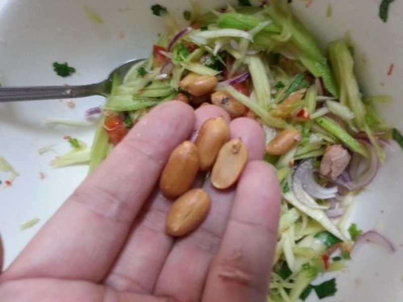 ������â��ɳ��������