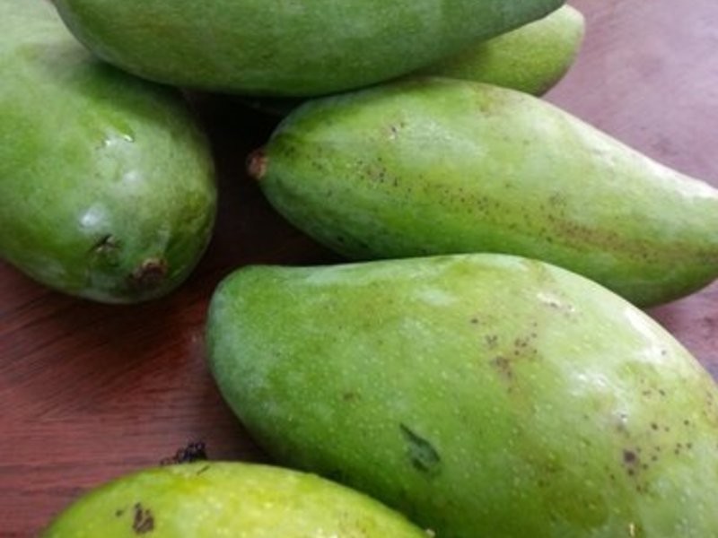 ������â��ɳ��������