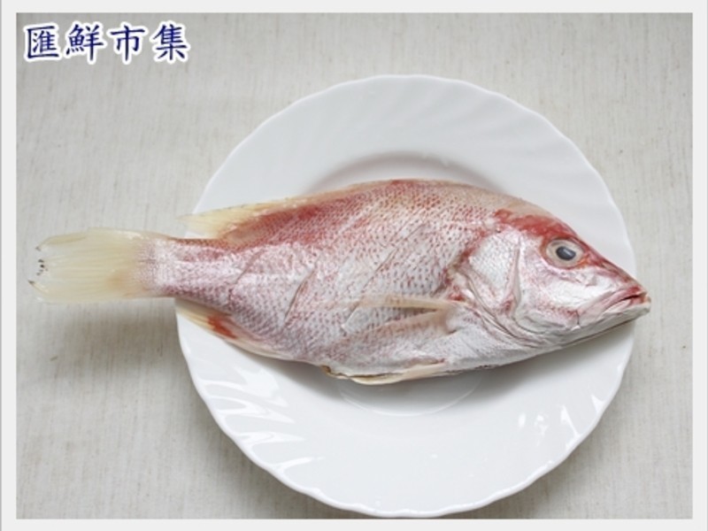 ��ȫ���˶������Ǵ׳����㣨�����㣩������