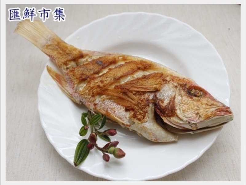 ��ȫ���˶������Ǵ׳����㣨�����㣩������