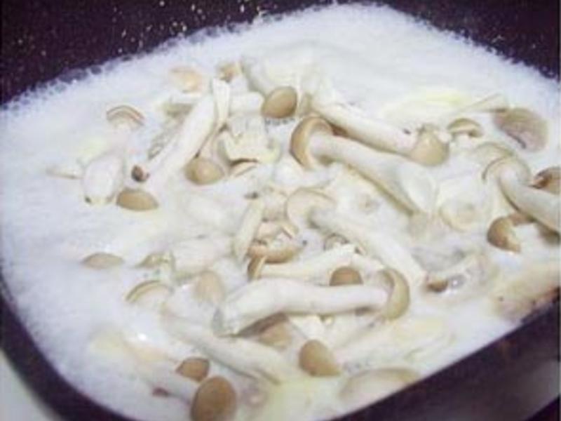 ��������Ũ��������