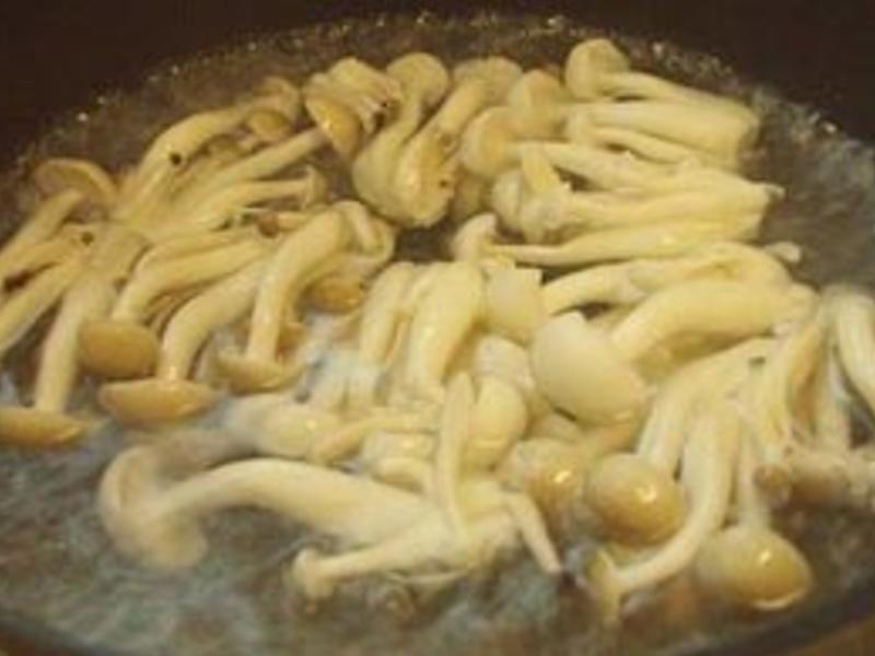 ��������Ũ��������