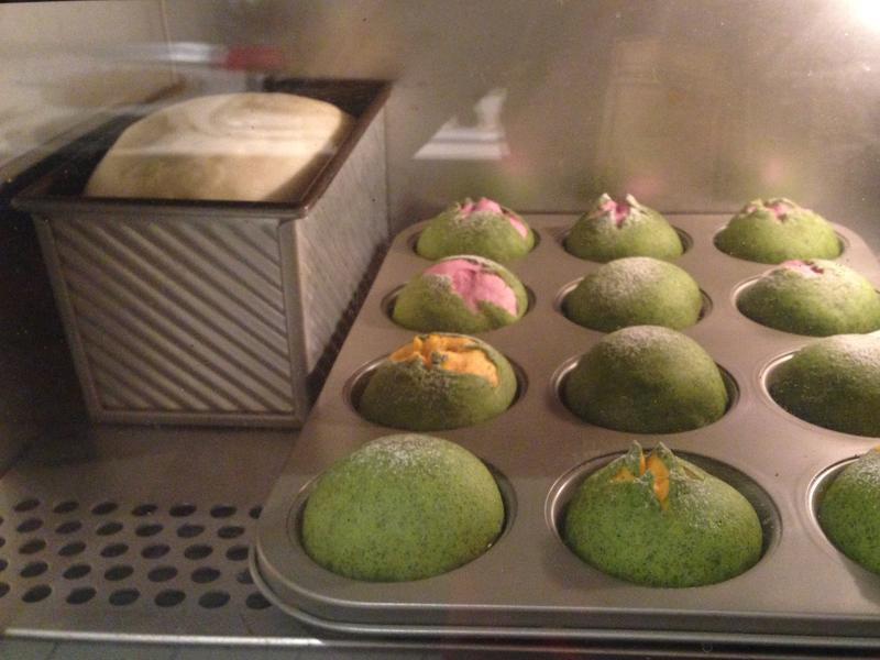 �����ʺ�~�����º決����������