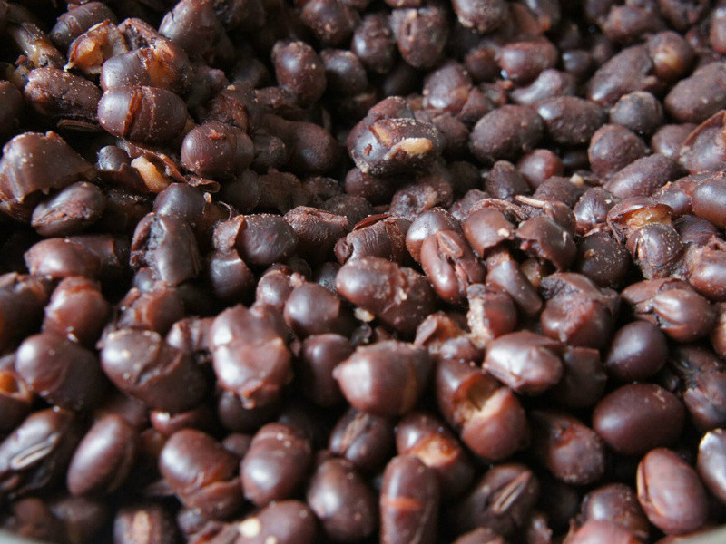 ��ɳ�±��ڵ�����