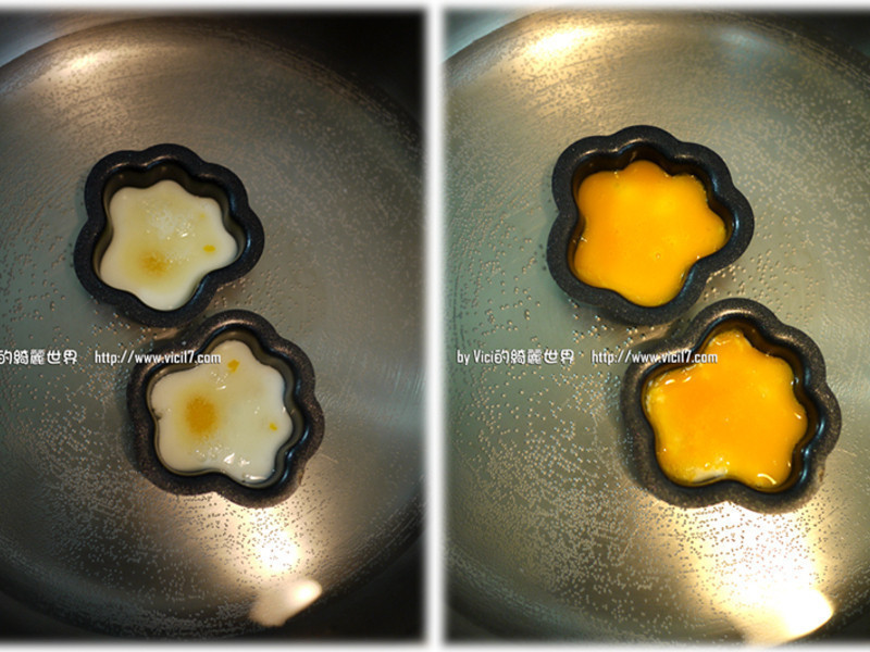 èצ������VICI�����˳�����������