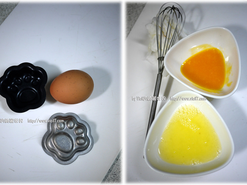 èצ������VICI�����˳�����������