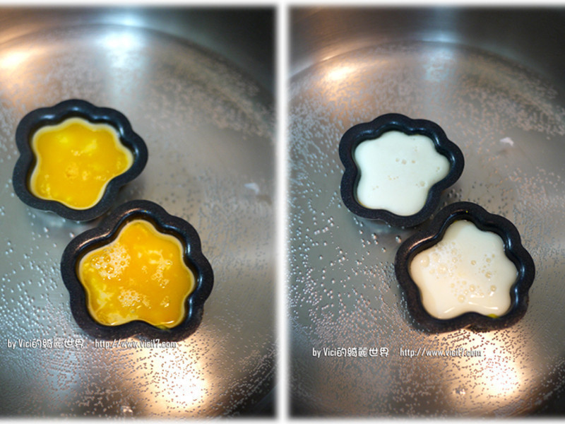 èצ������VICI�����˳�����������