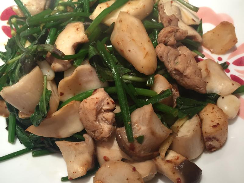 ?��탲˻�������������