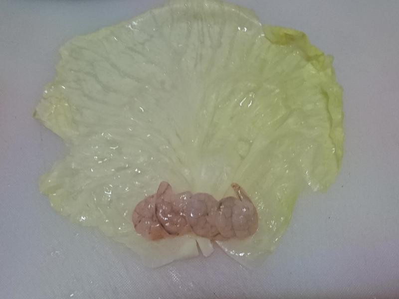 Ϻ�ʲ˾�������