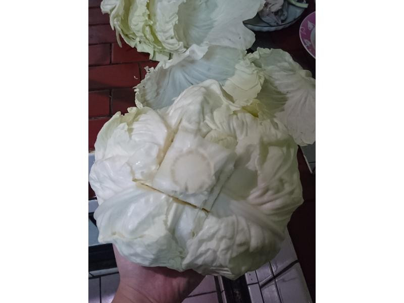 Ϻ�ʲ˾�������