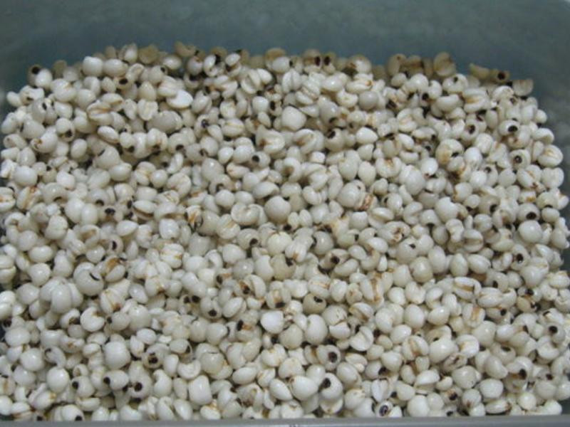 �����̶�޲����������