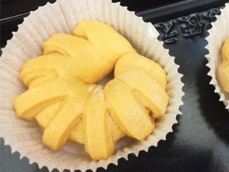 �����Ϲ���ʿ�������������