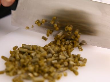 ��θ�ᶹ����ĭ�㵱������