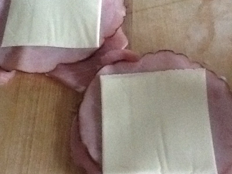 ��ͥʽ�������ŵ�����