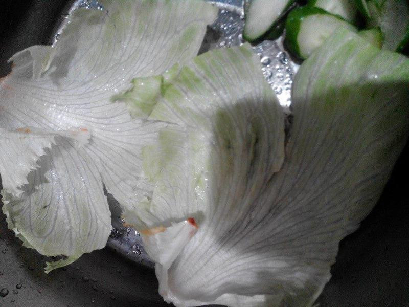 �����̿������ű�����������