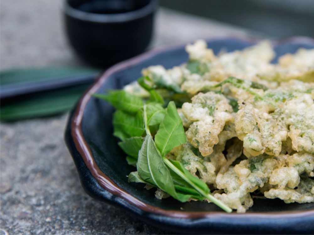 ը�㴻�������