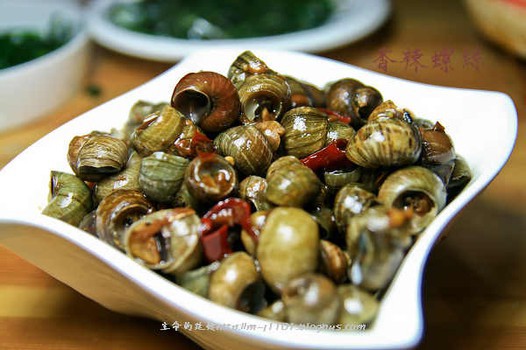 ������˿������