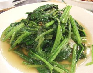 ����A��˫�̵�����