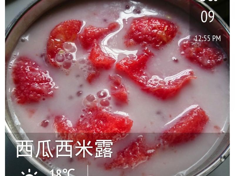 ��������¶������