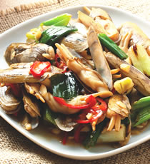 ��«�񱴵�����