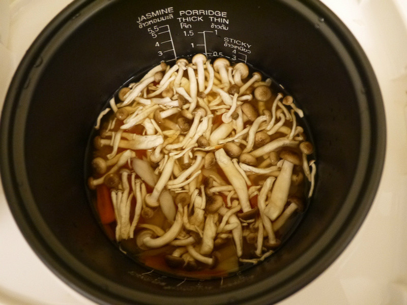 ��ʽ����������