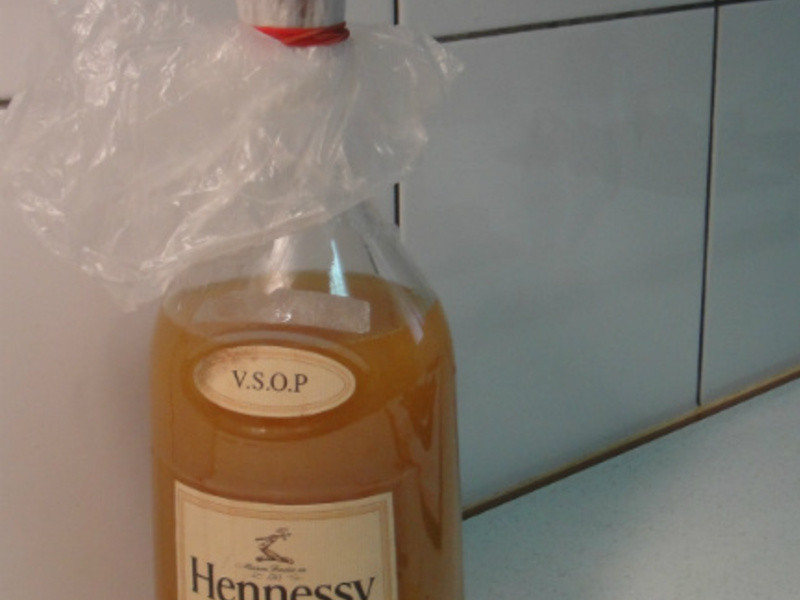 ����� ������ �ɹ��� �Դ� ���Ʒ�������